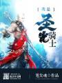 我是圣光骑士TXT全集封面