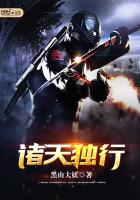 诸天独行TXT全集封面