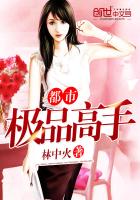 都市极品高手TXT全集封面