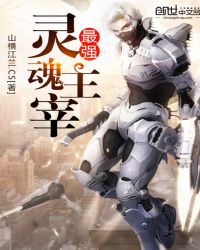 最强灵魂主宰TXT全集封面