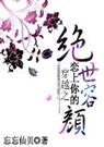 恋上你的绝世容颜TXT全集封面