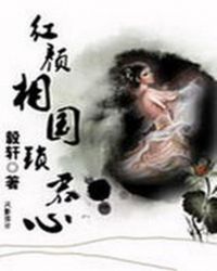 红颜相国锁君心TXT全集封面