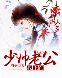 少帅老公找上门TXT全集封面