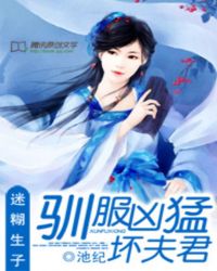 迷糊生子:驯服凶猛坏夫君TXT全集封面