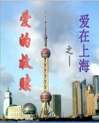 爱在上海之爱的救赎TXT全集封面