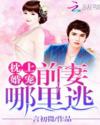 枕上婚宠:前妻哪里逃TXT全集封面