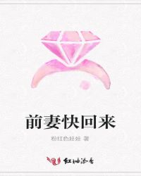 前妻快回来TXT全集封面