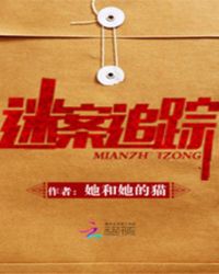 迷案追踪TXT全集封面