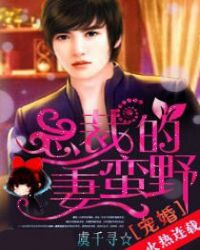 宠婚,总裁的野蛮妻TXT全集封面