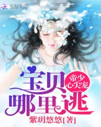 帝少心尖宠:宝贝,哪里逃TXT全集封面