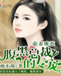 帝妻难惹:腹黑总裁的专宠TXT全集封面