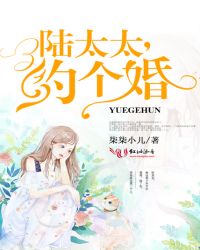 陆太太,约个婚TXT全集封面