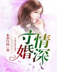寸婚情深TXT全集封面