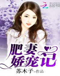 肥妻娇宠记TXT全集封面