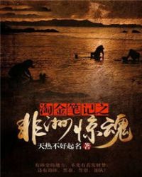 淘金笔记之非洲惊魂TXT全集封面
