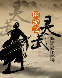 网游之灵武TXT全集封面