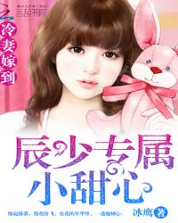 冷妻嫁到:辰少专属小甜心TXT全集封面