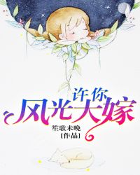 许你风光大嫁TXT全集封面