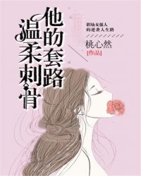 他的套路,温柔刺骨TXT全集封面
