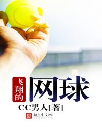 飞翔的网球TXT全集封面