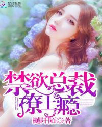 禁欲总裁:撩上瘾！TXT全集封面