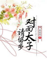 对面太子请留步TXT全集封面