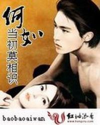 何如当初莫相识TXT全集封面
