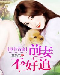最佳首席:前妻不好追TXT全集封面
