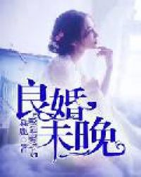 良婚未晚TXT全集封面