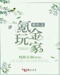 重生之氪金玩家TXT全集封面