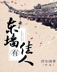 东墙有佳人TXT全集封面