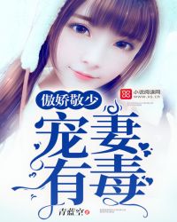 傲娇敬少:宠妻有毒TXT全集封面