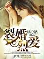 裂婚烈爱TXT全集封面