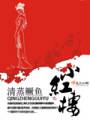 小红楼TXT全集封面