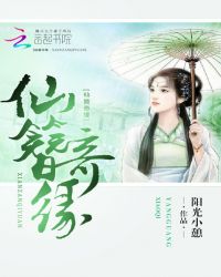 仙簪奇缘TXT全集封面