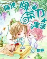 揣把菜刀闯皇宫:与皇逼婚TXT全集封面