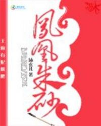 凤凰朱砂TXT全集封面