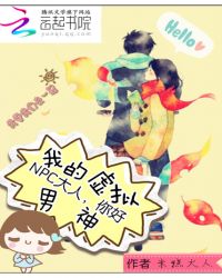 我的虚拟男神:NPC大人,你好TXT全集封面