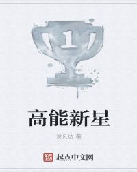 高能新星TXT全集封面