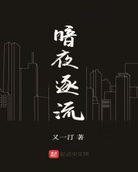 暗夜,逐流TXT全集封面