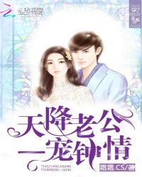 天降老公:一宠钟情TXT全集封面