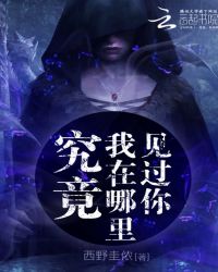 究竟,我在哪里见过你TXT全集封面