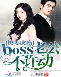 撩妻成瘾:boss老公,不许动TXT全集封面