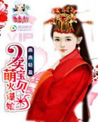 卖萌儿子火爆娘:王爷个个要专宠TXT全集封面
