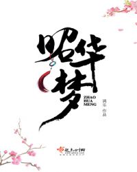 昭华梦TXT全集封面