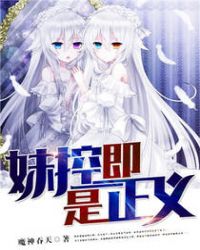 妹控即是正义TXT全集封面