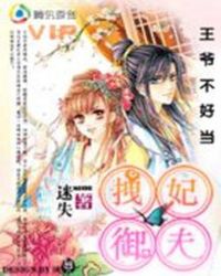 王爷不好当:拽妃御夫ⅡTXT全集封面