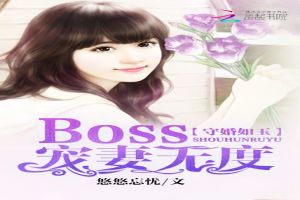 ػ:Boss޶