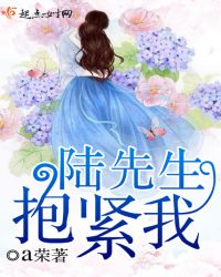 陆先生,抱紧我TXT全集封面