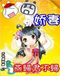 囧囧娇妻:燕归君不归TXT全集封面